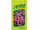 Semeno Třapatka nachová-Echinacea 1 g