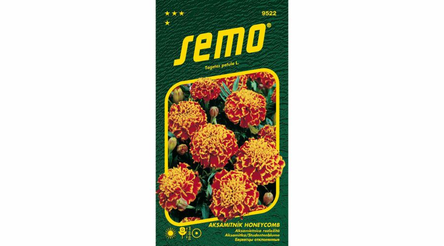 Semeno Aksamitník rozkladitý Honeycomb (Super Hero Orange Flam