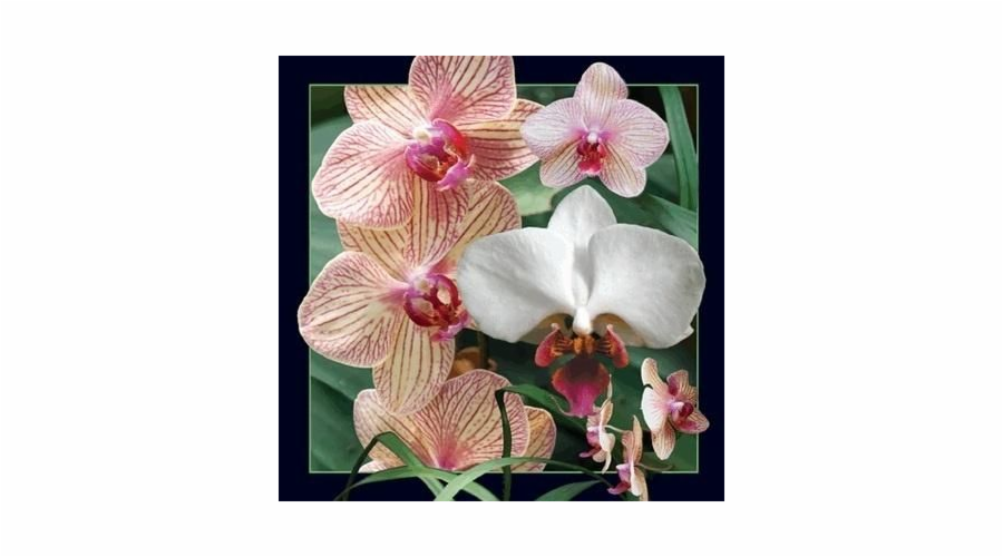 3D pohlednice s orchidejí stojí za to ponechat