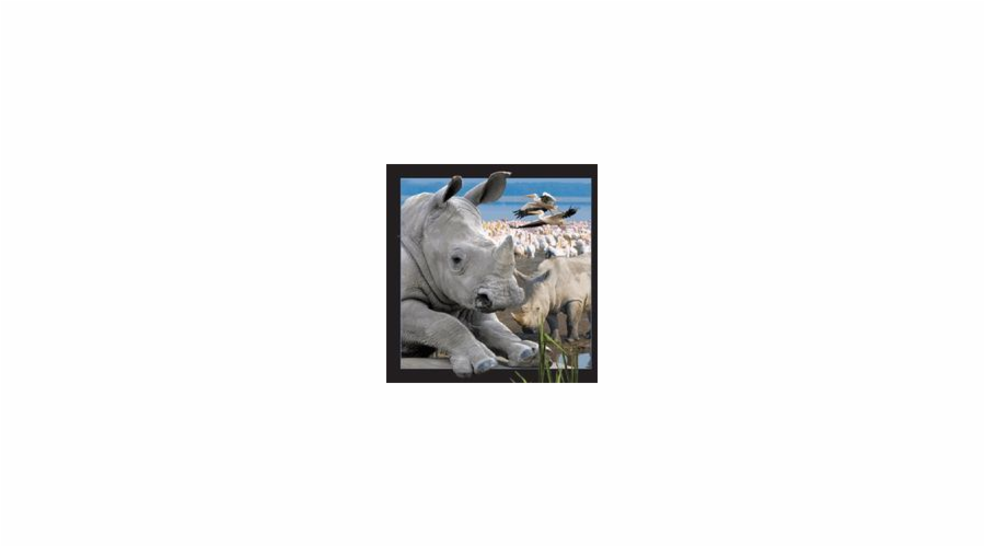 3D magnet Rhinoceros, který stojí za to ponechat (182603)