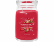 Svíčka ve skleněné dóze Yankee Candle, Třpytivá skořice, 567 g