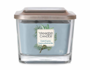 Svíčka ve skleněné váze Yankee Candle, Pobřežní cypřiš, 347 g