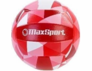 Článek Volejbal MaxSport 133282