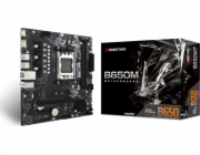 Biostar B650MT, základní deska