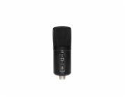 Stagg SUSM60D, USB dvojitý kondenzátorový mikrofo v setu