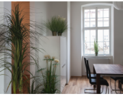 Orchidej větvička, krémově-bílá, 100 cm