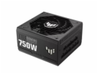 ASUS zdroj TUF Gaming 750W Gold, 750W, 80+ Gold