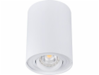 Stropní svítidlo KANLUX BORD 22551, 25 W, GU10