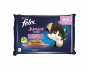 Kapsička pro kočky JUNIOR KONS.SU PAD 4X85G