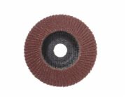 Brusný kotouč na plátky Forte tools, 125x22,23 mm