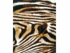 Koberec ALFA SHIRAZ 1252 B11, hnědý, 170×120 cm