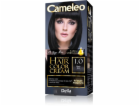 Delia Delia Cosmetics Cameleo HCC Permanentní barva Omega...
