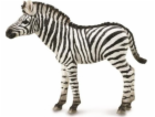 Collecta figurka ZEBRA FOAL
