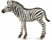 Collecta figurka ZEBRA FOAL