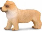 Figurka Collecta COLLECTA CHOW CHOW PUPPY