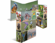 Pořadač Herma HERMA Ordner A4 Heimatvögel