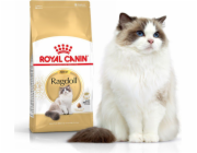 Royal Canin Ragdol Adult suché krmivo pro dospělé kočky ragdoll 2 kg