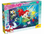 Lisciani LISCIANI PUZZLE DF PLUS 60 MALÁ MOŘSKÁ VÍLA
