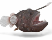 Figurka Collecta COLLECTA MONKFISH
