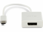 LMP USB-C – DisplayPort USB adaptér stříbrný (LMP-USBC-MD...