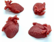 Eldritch/Arkham Horror: Značky zdraví (malé)