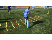 YakimaSport 3D trojitý koordinační žebřík 6m Yakimasport