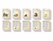 Kompletní pouzdro na deskovou hru 3