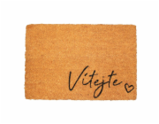 Rohožka VÍTEJTE 40x60 cm