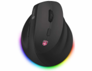 CONNECT IT FOR HEALTH Cloudy bezdrátová vertikální myš, RGB podsvícení, 2xBT,USB  ČERNÁ