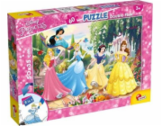 Lisciani Oboustranné puzzle Plus 60 Princess