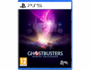 Ghostbusters: Spirits Unleashed PS5