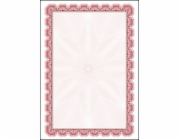 PAPÍROVÁ GALERIE DIPLOM PAPÍROVÁ GALERIE A4 ARNIKA B (25)