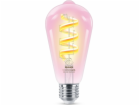 WiZ | Philips Smart WiFi vlákno čiré ST64 RGB | E27 | 6,3...