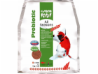 Sera Koi Junior All Seasons Probiotic 5 kg - speciální kr...