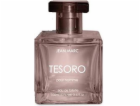 Jean Marc Tesoro Pour Homme EDT 100 ml