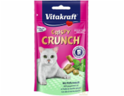 VITAKRAFT Crispy Crunch Dental - pamlsek pro kočky - 60g