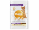 IAMS for Vitality Kitten Fresh chicken - suché krmivo pro...