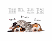 Podložka pod stůl 0318-0048-72, 58×41,5 cm