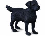 Figurka Collecta pes LABRADOR (M)