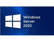 Win Server CAL 2022 (10 User)