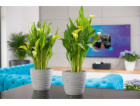 Hrnec Form Plast Sahara Petit, O 16,7 cm, šedý