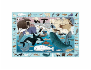 Mudpuppy Puzzle skládej a hledej Život v Arktidě 64 dílů