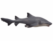 Mojo Žralok bělavý velký