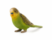 Mojo Andulka vlnkovatá