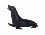 Mojo Lachtan kalifornský