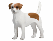 Mojo Jack Russell teriér