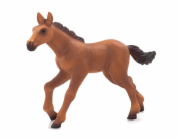 Mojo Hannoverské hříbě běžící