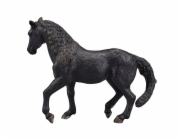 Mojo Andaluský kůň černý
