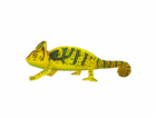 Mojo Chameleon