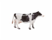 Mojo Holštýnská kráva